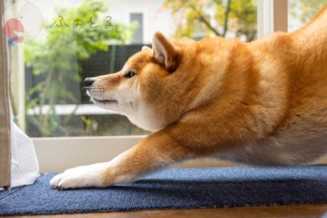 to_ma_24_24のポートフォリオ4