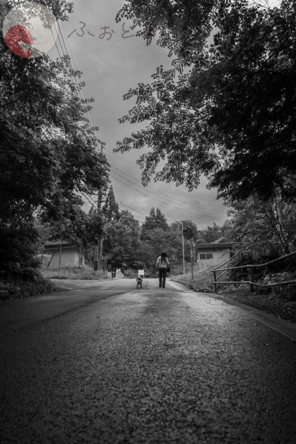 to_ma_24_24のポートフォリオ1