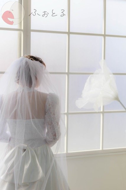 to_ma_24_24のポートフォリオ0