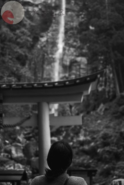 to_ma_24_24のポートフォリオ4