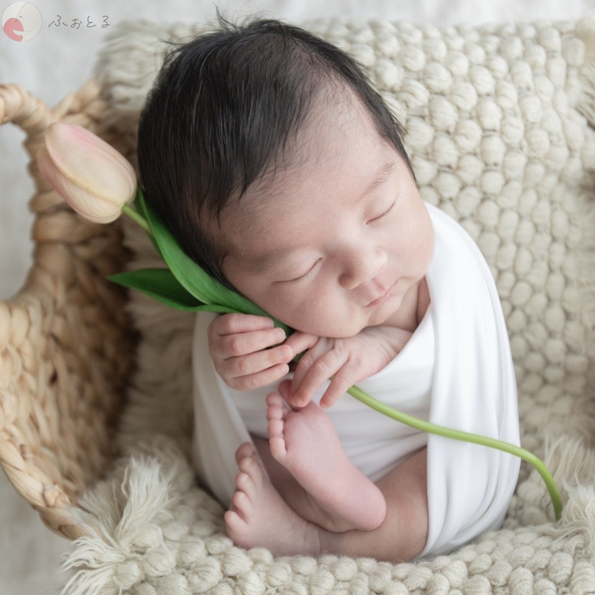 shamoのポートフォリオ2