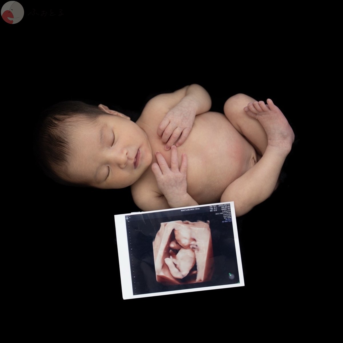 shamoのポートフォリオ4