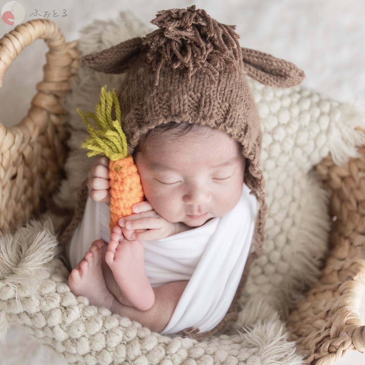 shamoのポートフォリオ5