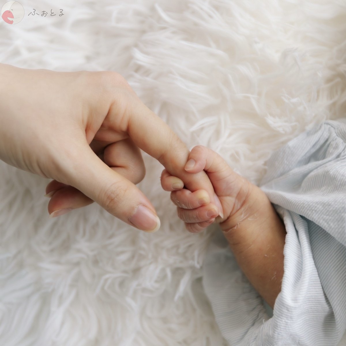 shamoのポートフォリオ6