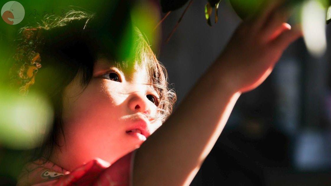 清水乃写真のポートフォリオ0