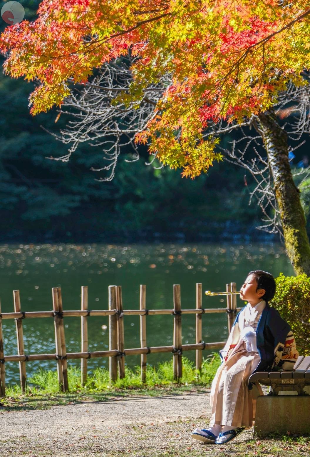 清水乃写真のポートフォリオ3