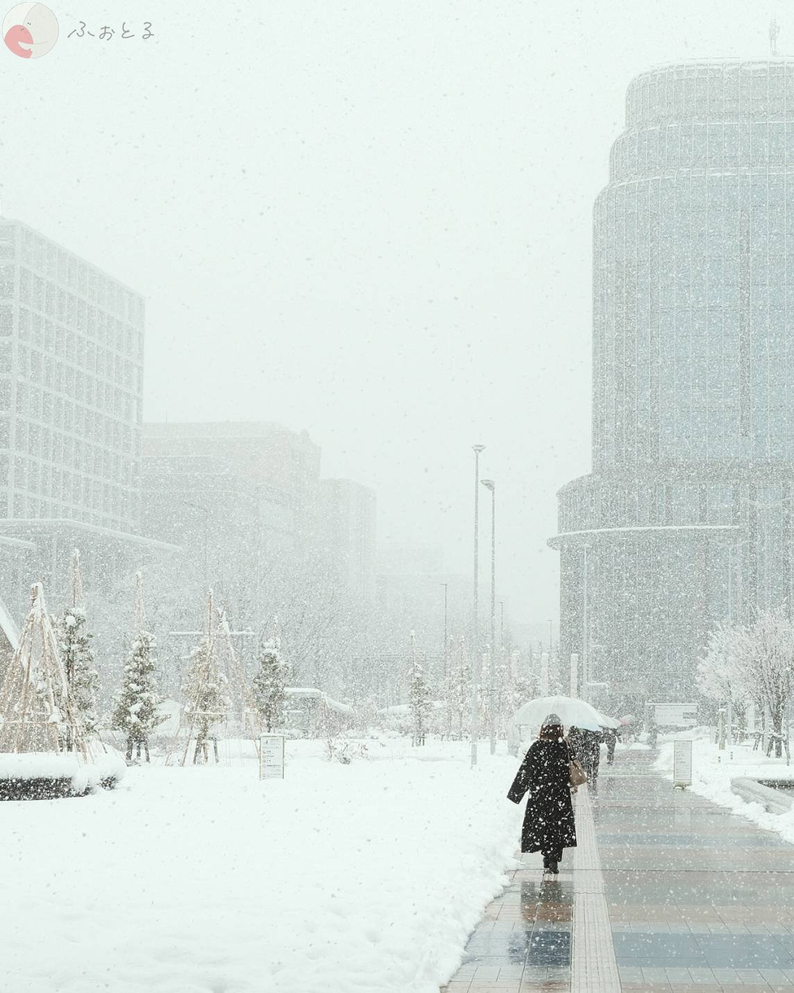 清水乃写真のポートフォリオ5