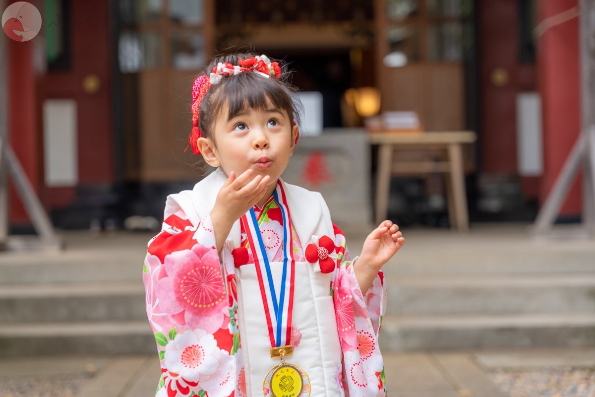 Yamashitaのポートフォリオ3