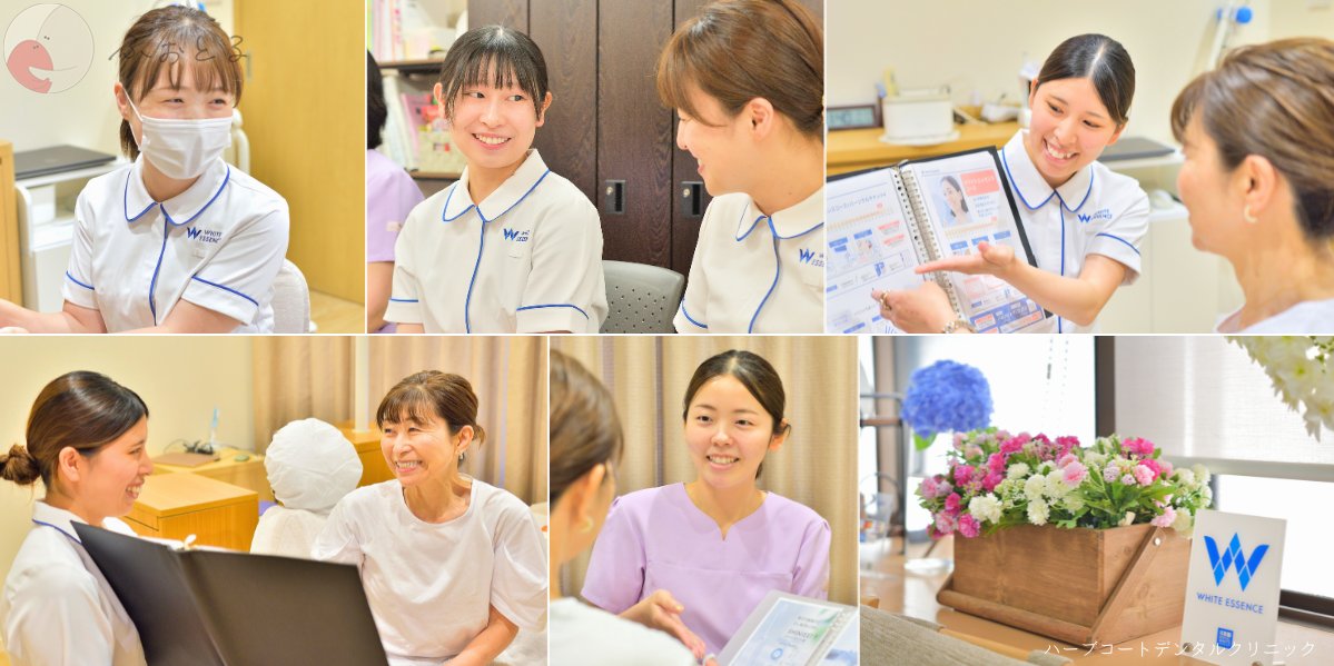 和香葉のポートフォリオ1