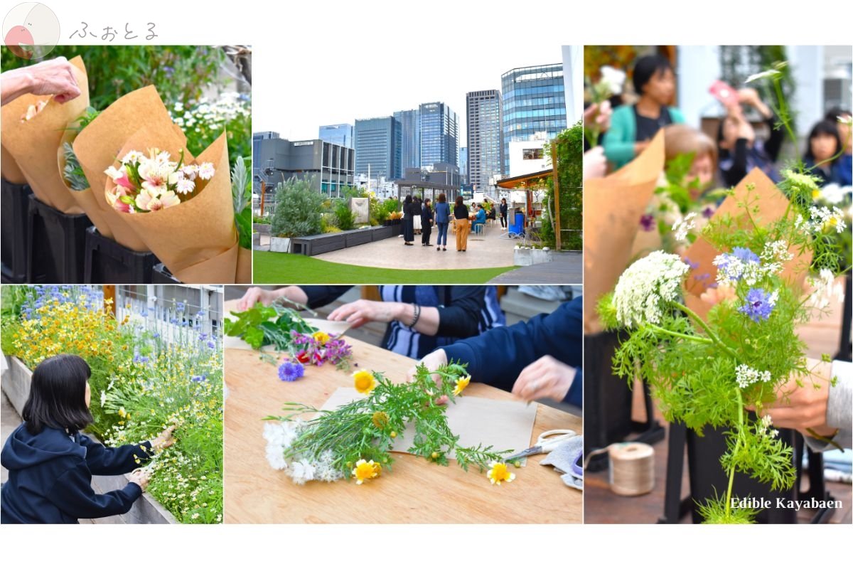 和香葉のポートフォリオ7