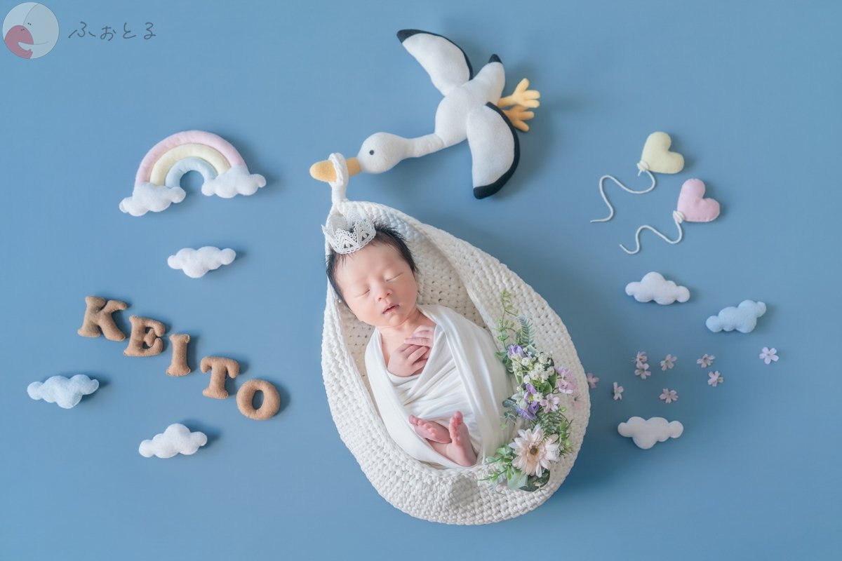 Carinaのポートフォリオ2