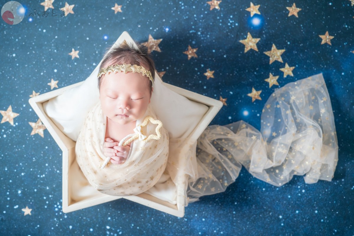 Carinaのポートフォリオ4