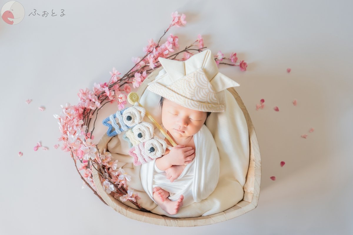 Carinaのポートフォリオ5