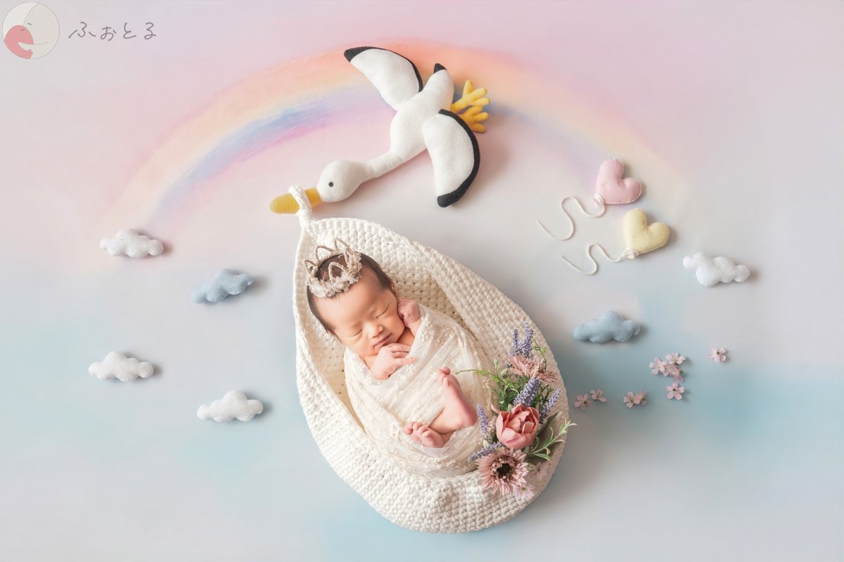 Carinaのポートフォリオ6