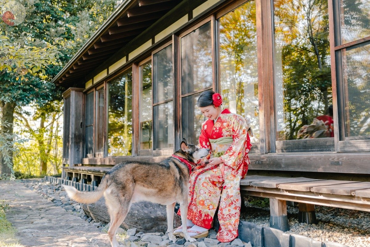 フミヤのポートフォリオ4