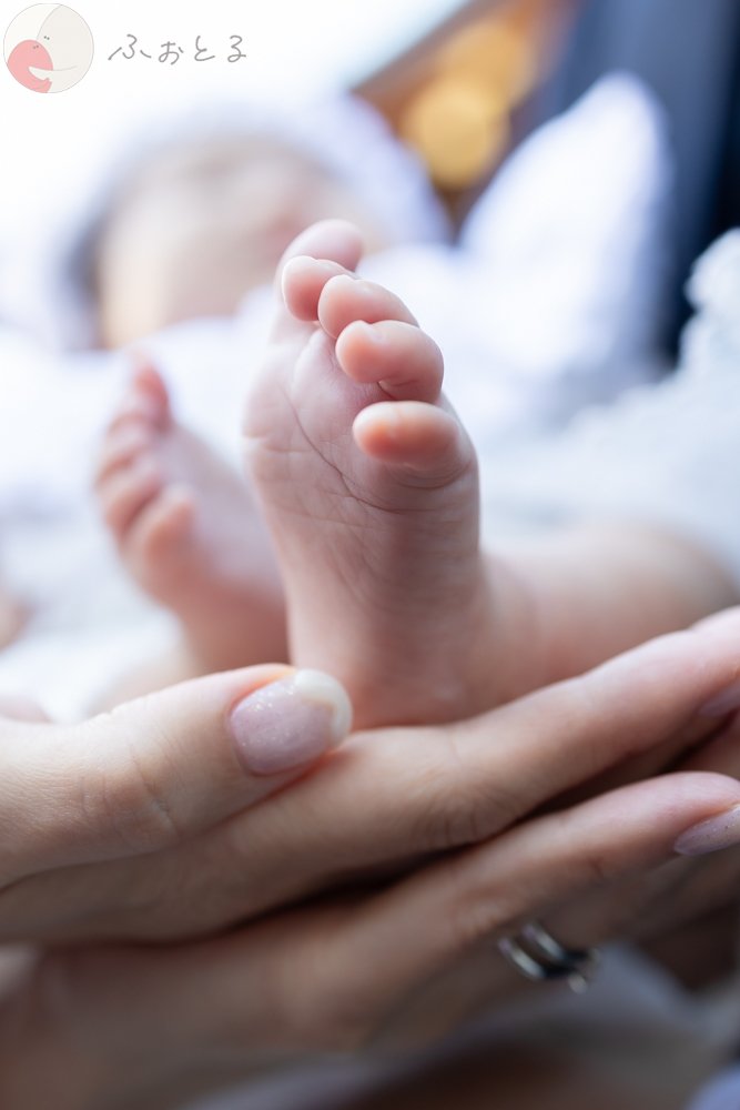 黒澤洋一のポートフォリオ9