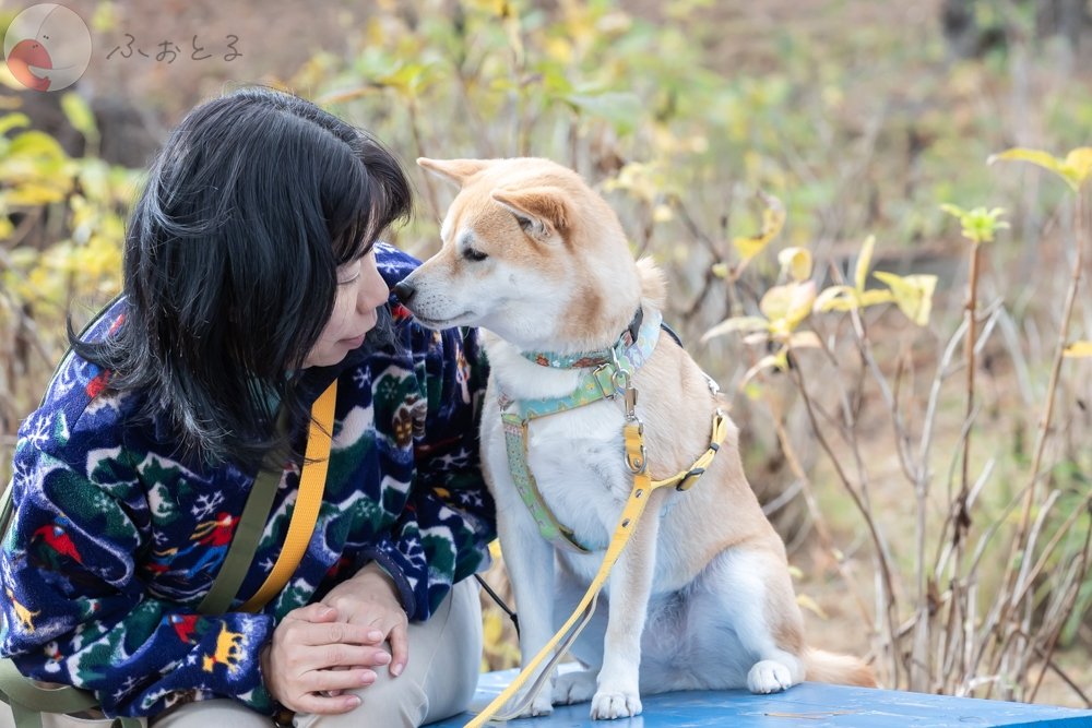 黒澤洋一のポートフォリオ0