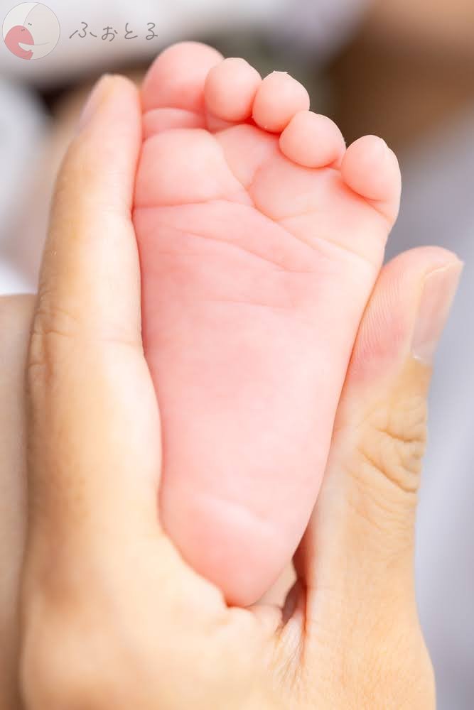 黒澤洋一のポートフォリオ8