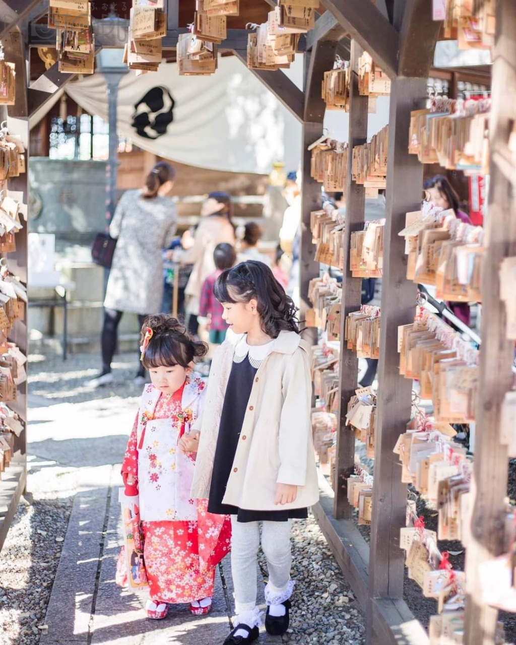 Yukimi Photographyのポートフォリオ9