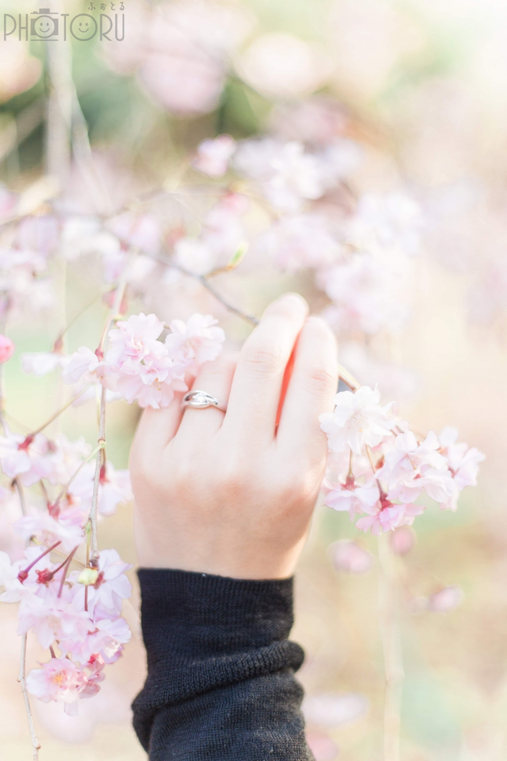 Yukimi Photographyのポートフォリオ2