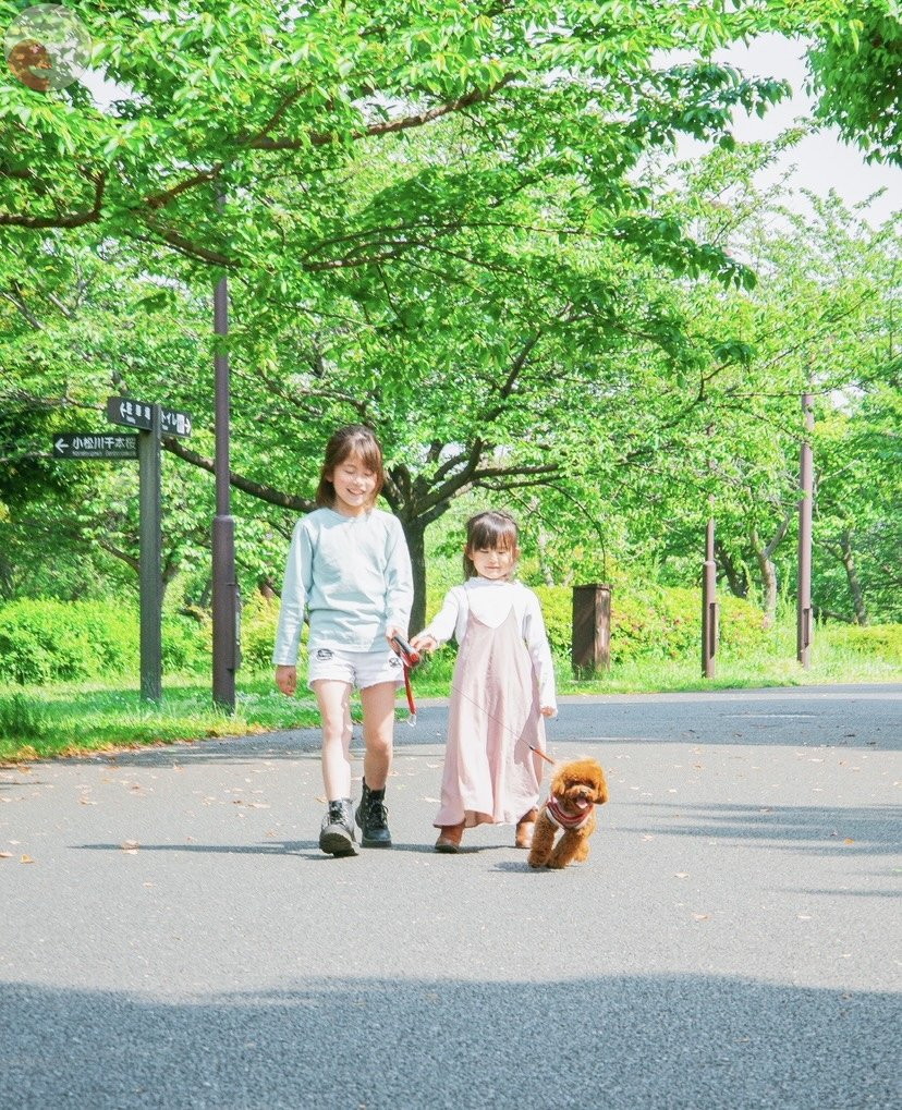 h i k a r iのポートフォリオ1