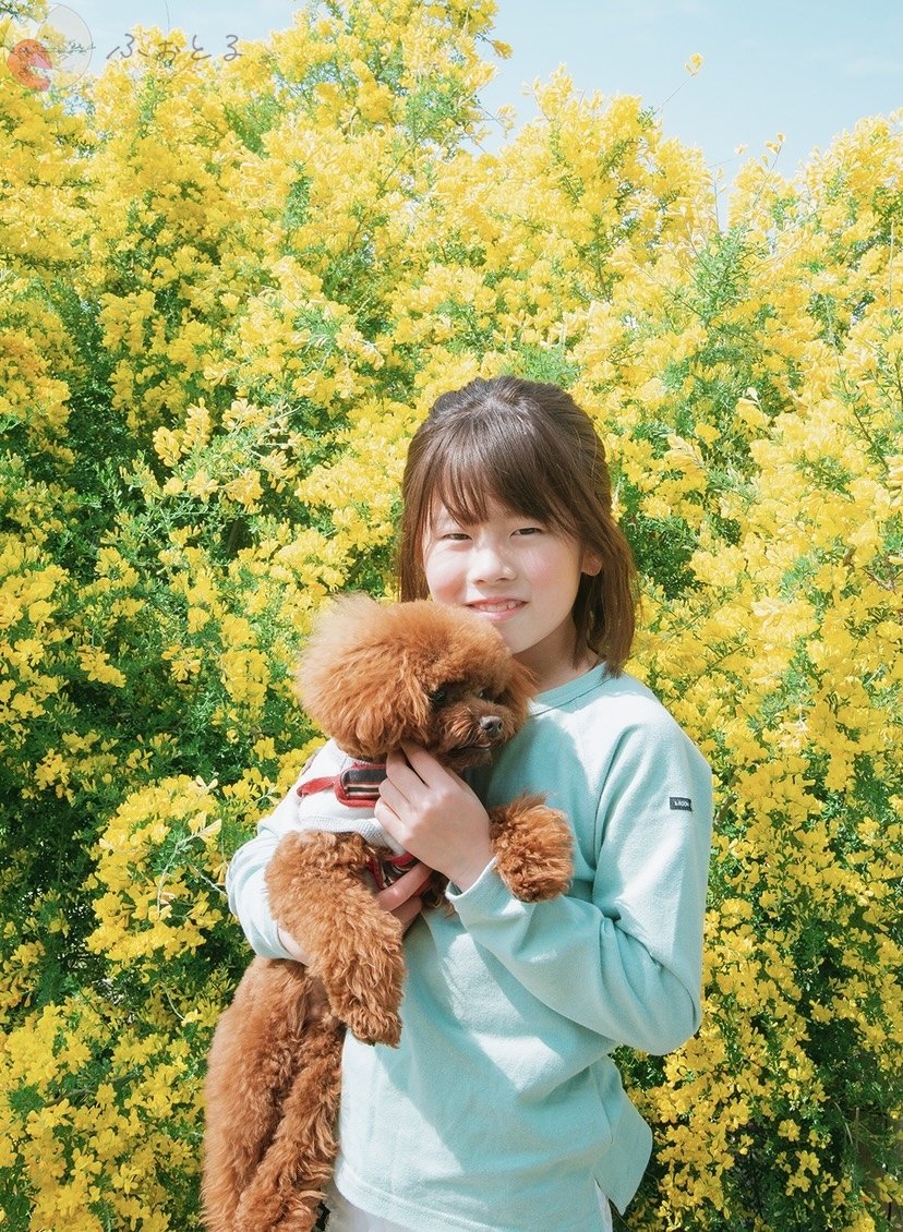 h i k a r iのポートフォリオ8