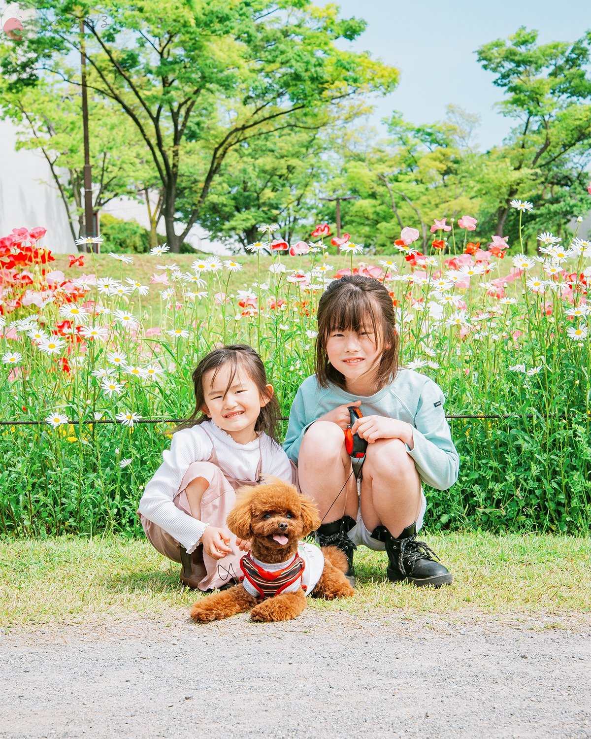 h i k a r iのポートフォリオ3