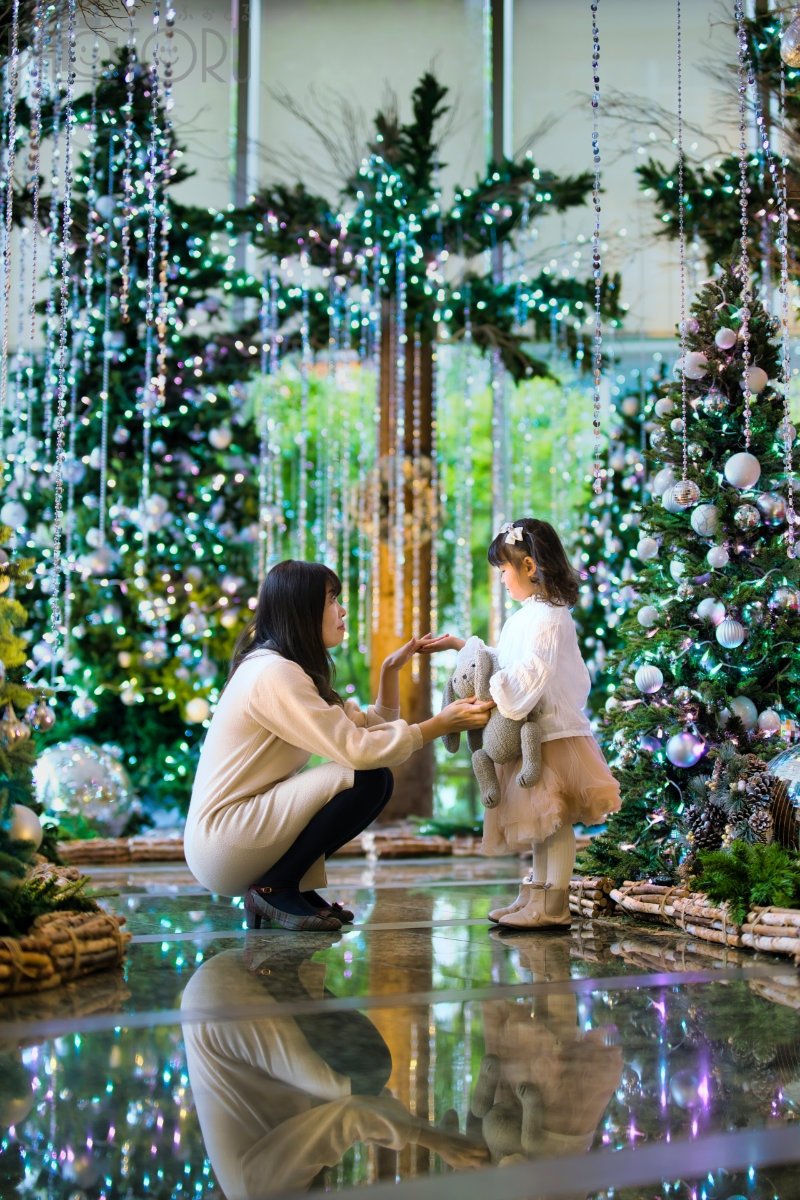 クレオメデスのポートフォリオ4