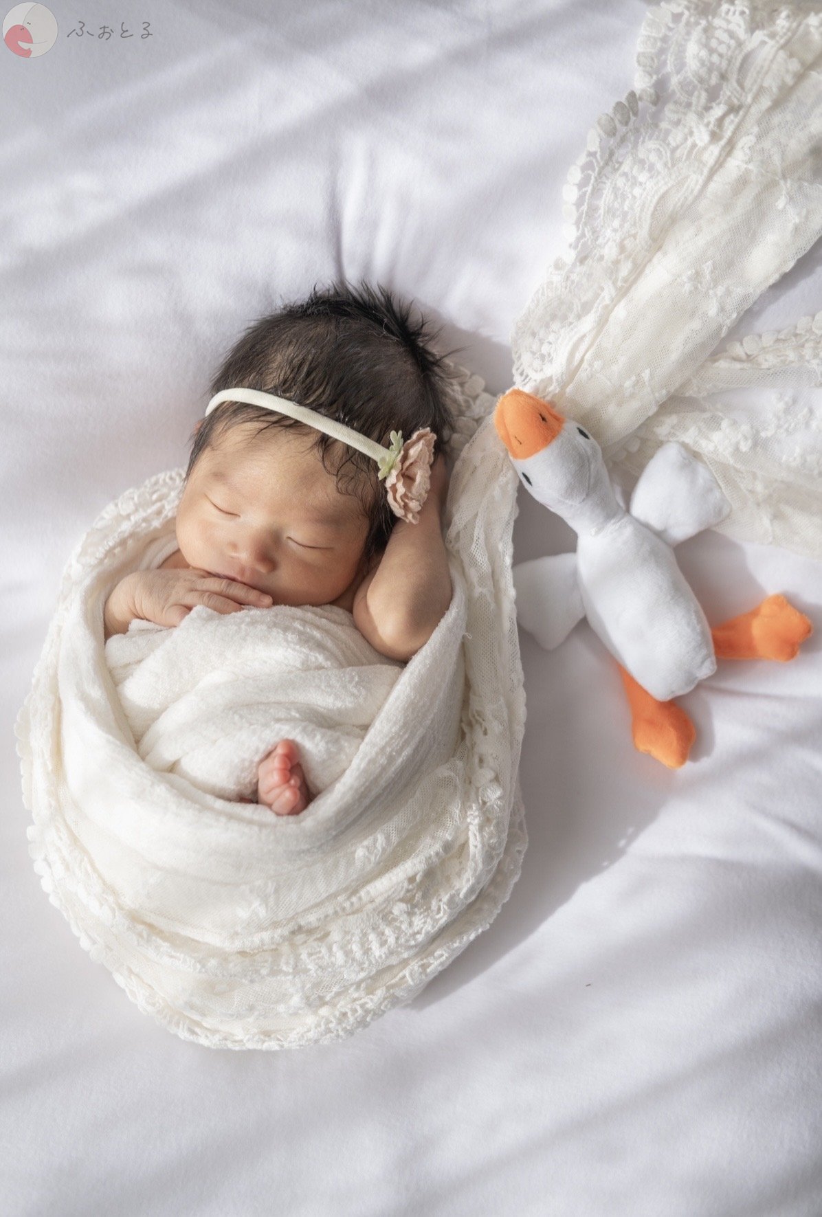 fumikaのポートフォリオ8