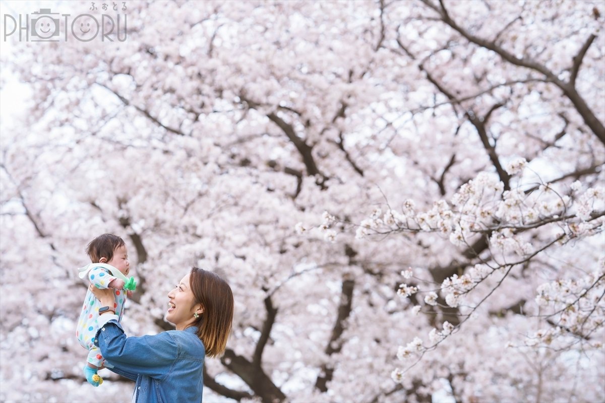 S.Sachi.photographyのポートフォリオ3