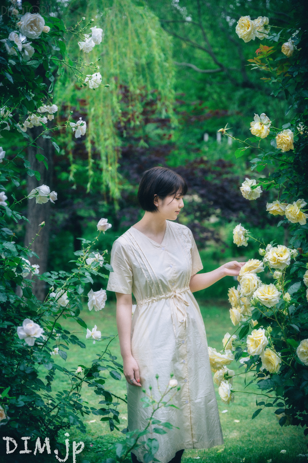 DIM(ディム)のポートフォリオ8