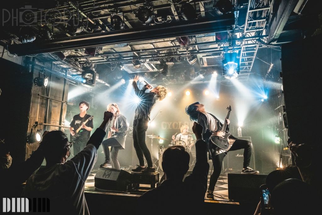 DIM(ディム)のポートフォリオ1