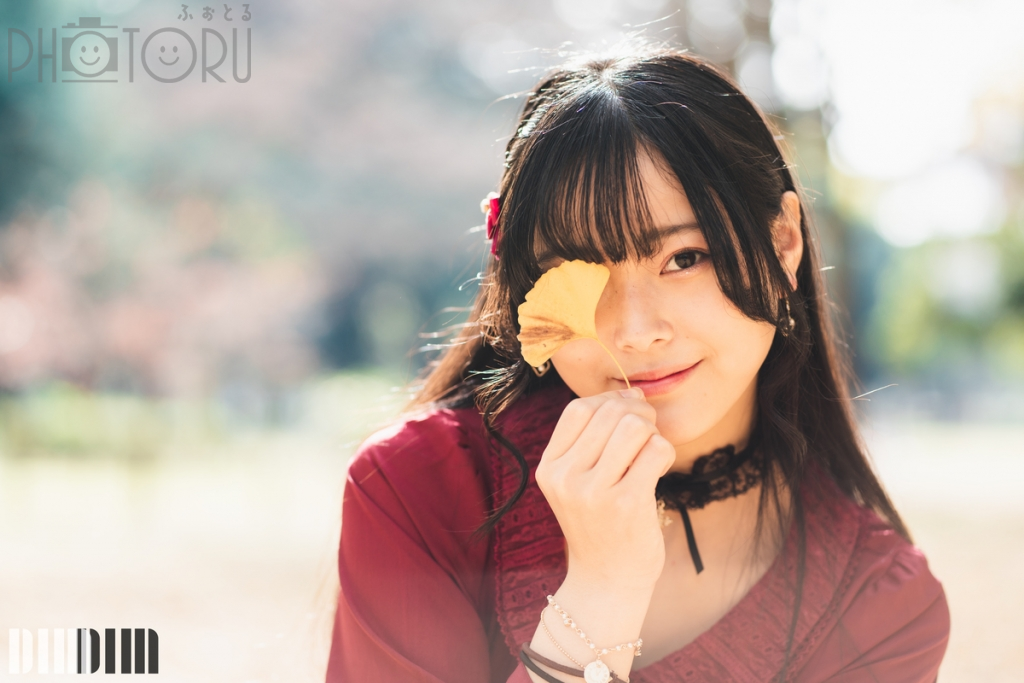 DIM(ディム)のポートフォリオ7