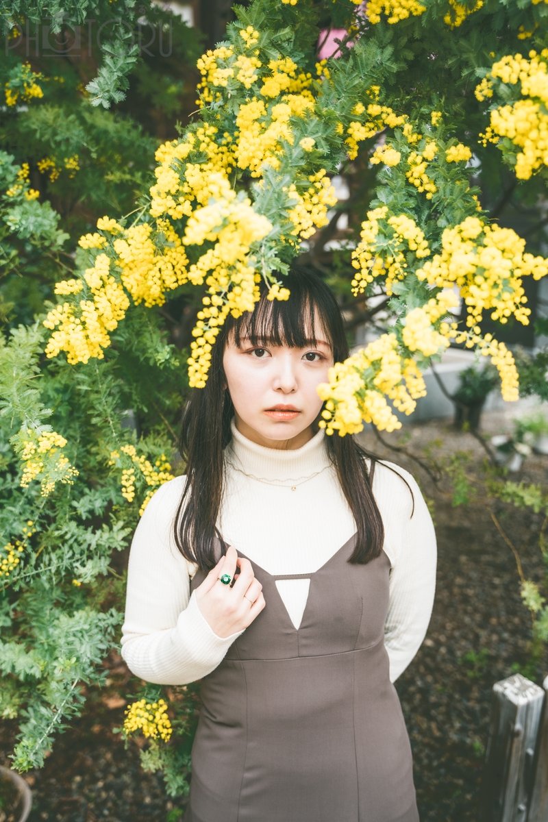 DIM(ディム)のポートフォリオ4