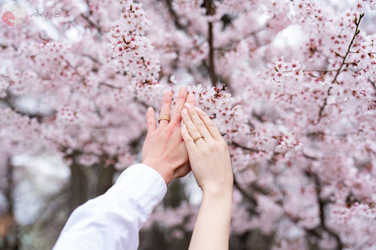 irodori_photoのポートフォリオ1