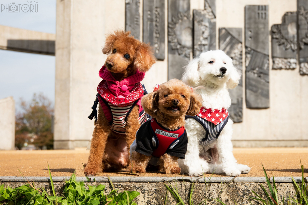 ☆★ S.Iwatsubo ★☆のポートフォリオ1