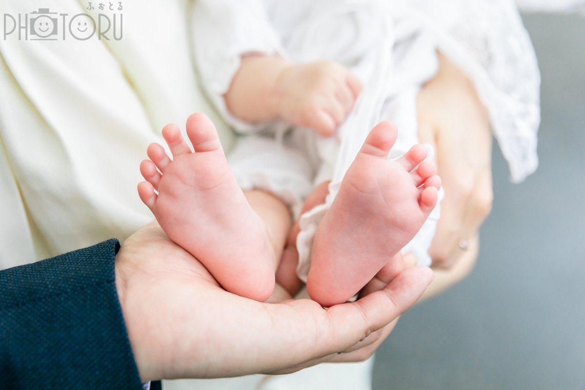 yuccaのポートフォリオ5