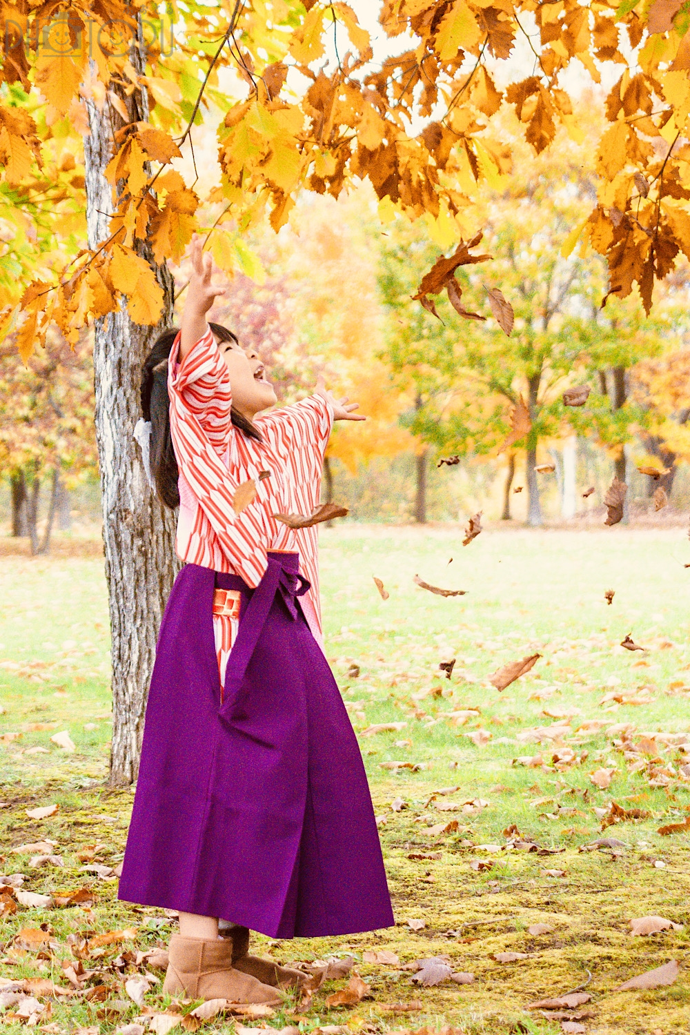 Ayuka Shimazakiのポートフォリオ0