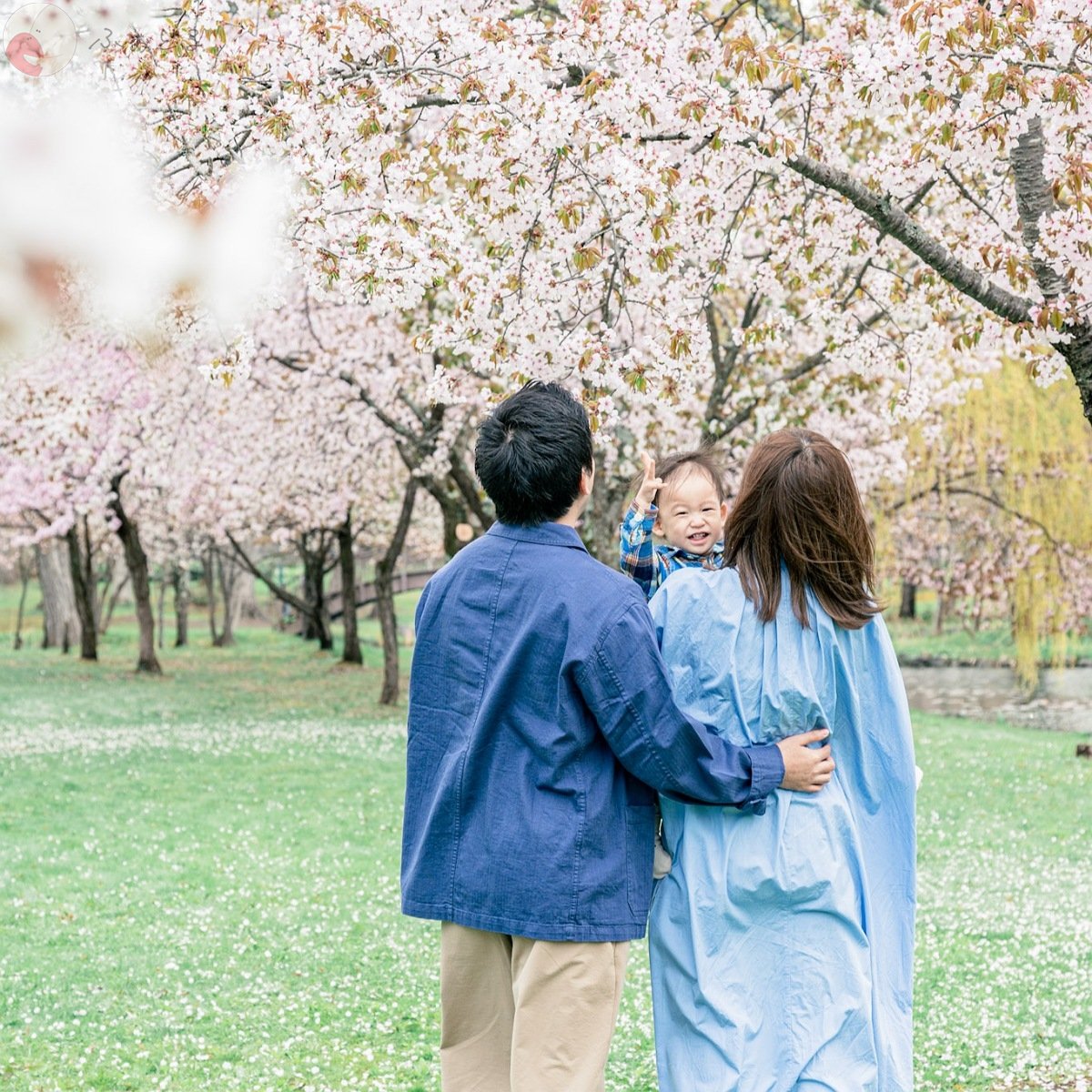 Ayuka Shimazakiのポートフォリオ1