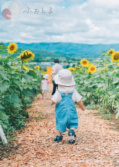 Ayuka Shimazakiのポートフォリオ4
