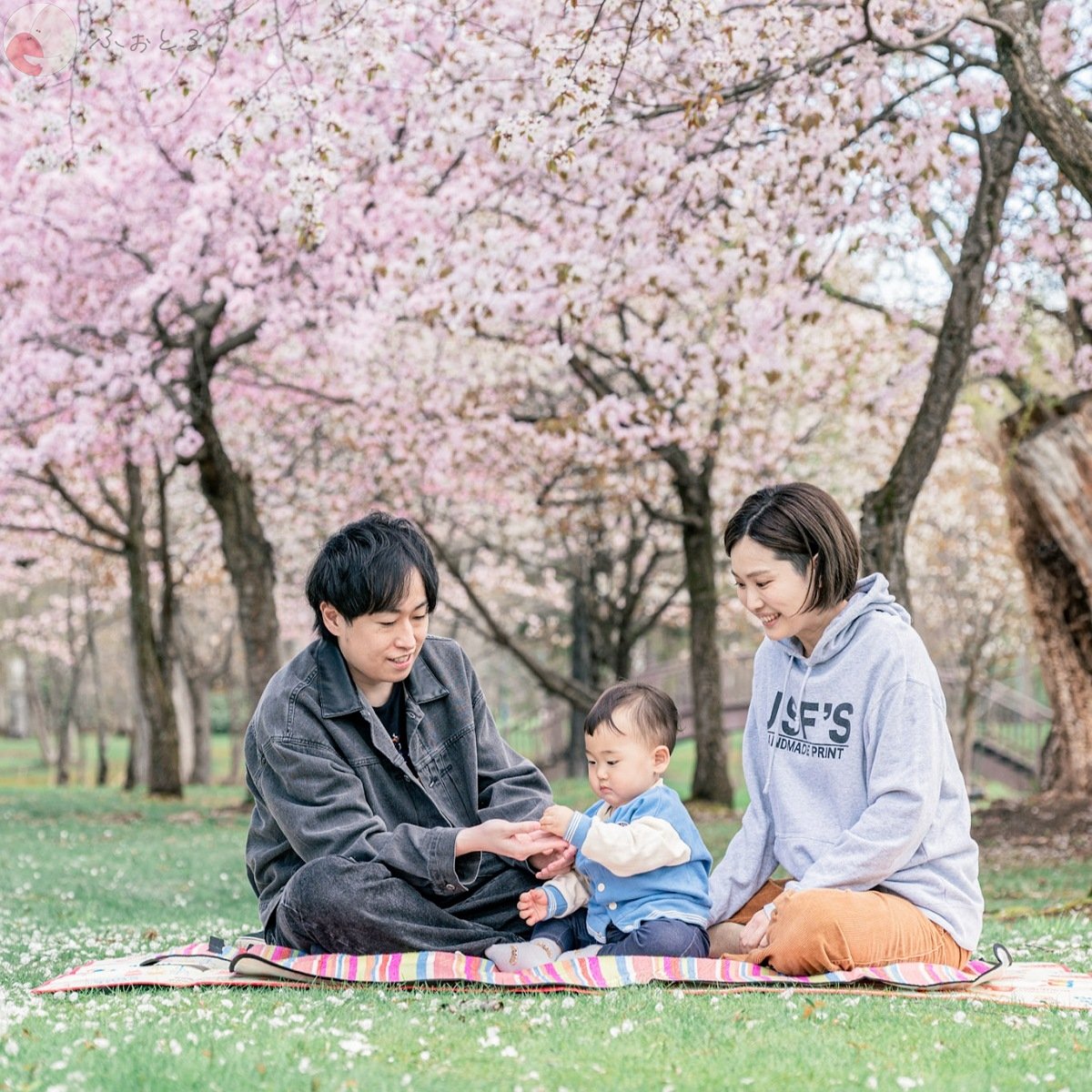 Ayuka Shimazakiのポートフォリオ2