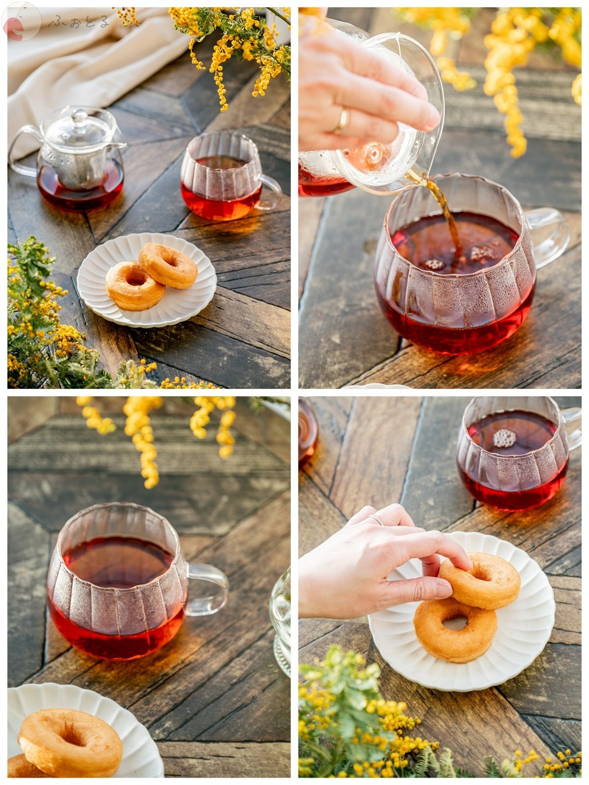 Ayuka Shimazakiのポートフォリオ0