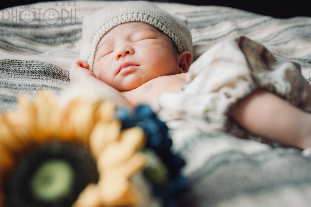 Ayuka Shimazakiのポートフォリオ9