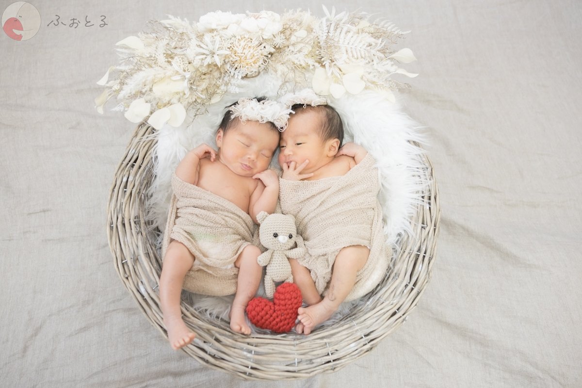 Lilyのポートフォリオ8