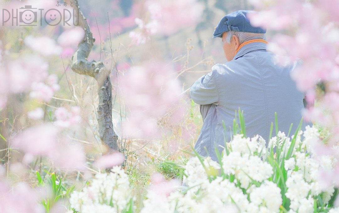 fuma8023のポートフォリオ1