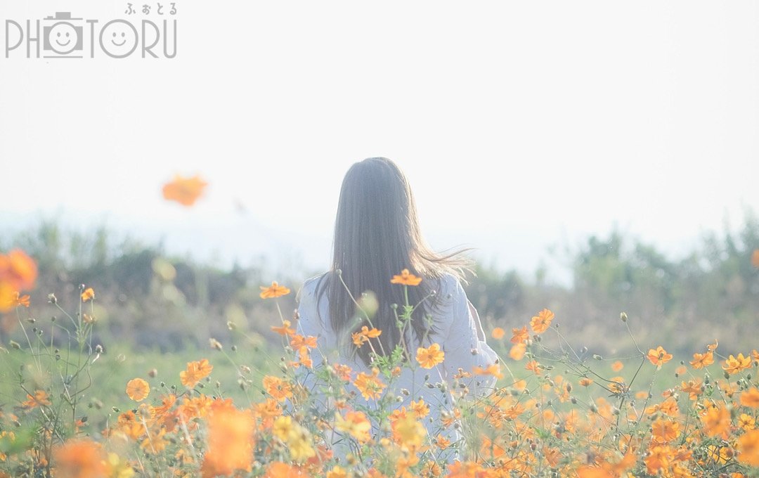 fuma8023のポートフォリオ2