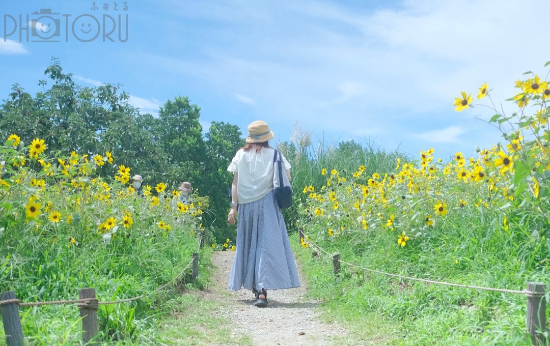 fuma8023のポートフォリオ3