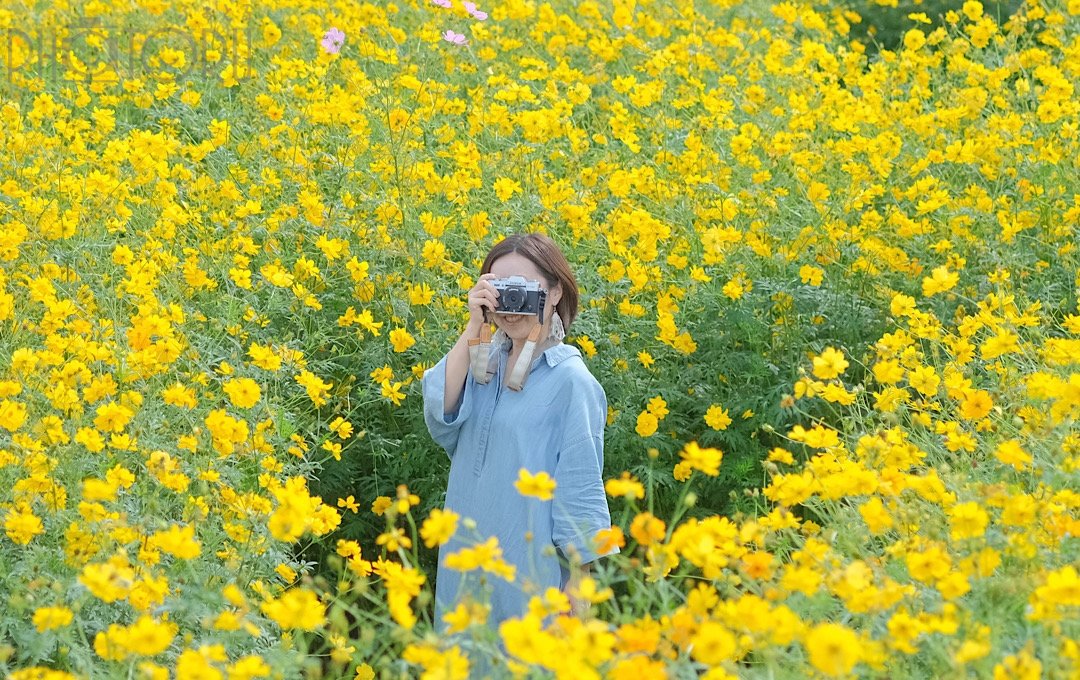 fuma8023のポートフォリオ5