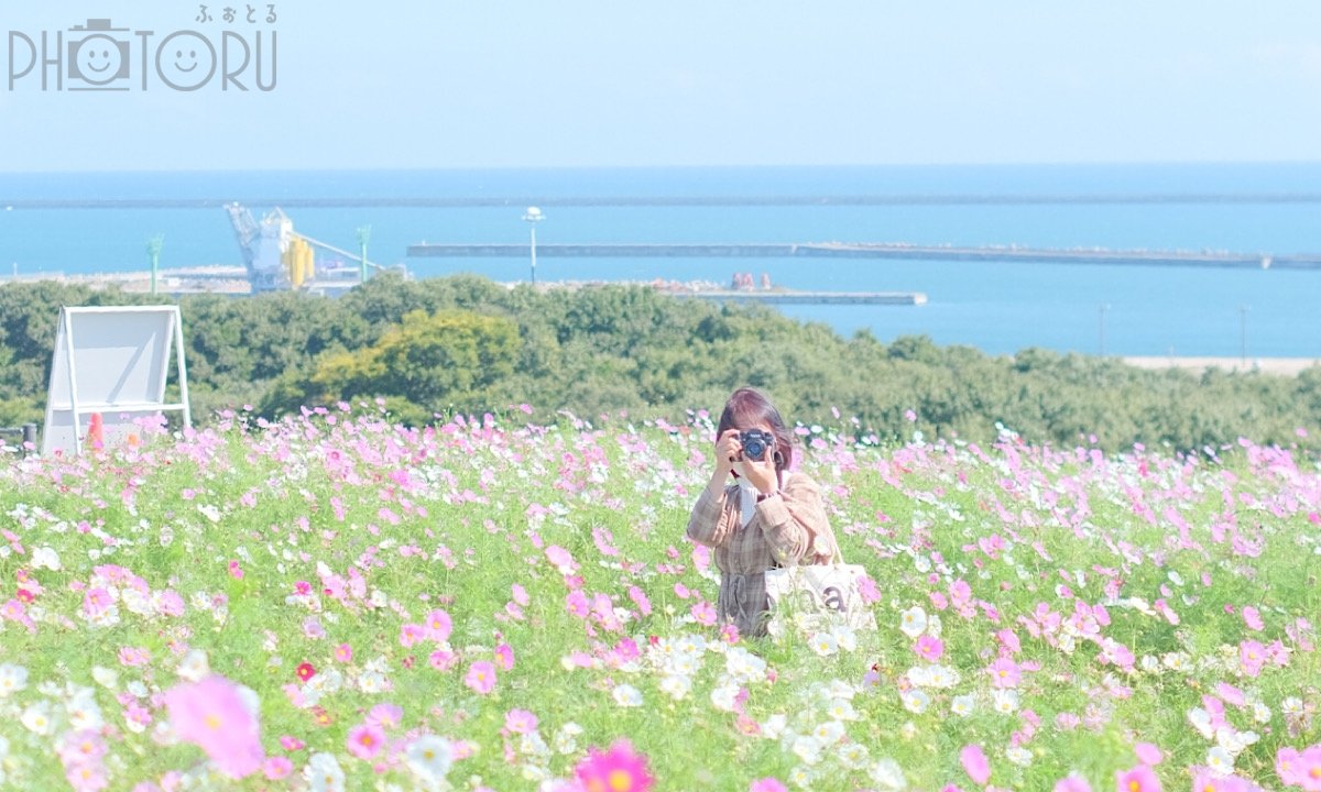 fuma8023のポートフォリオ7