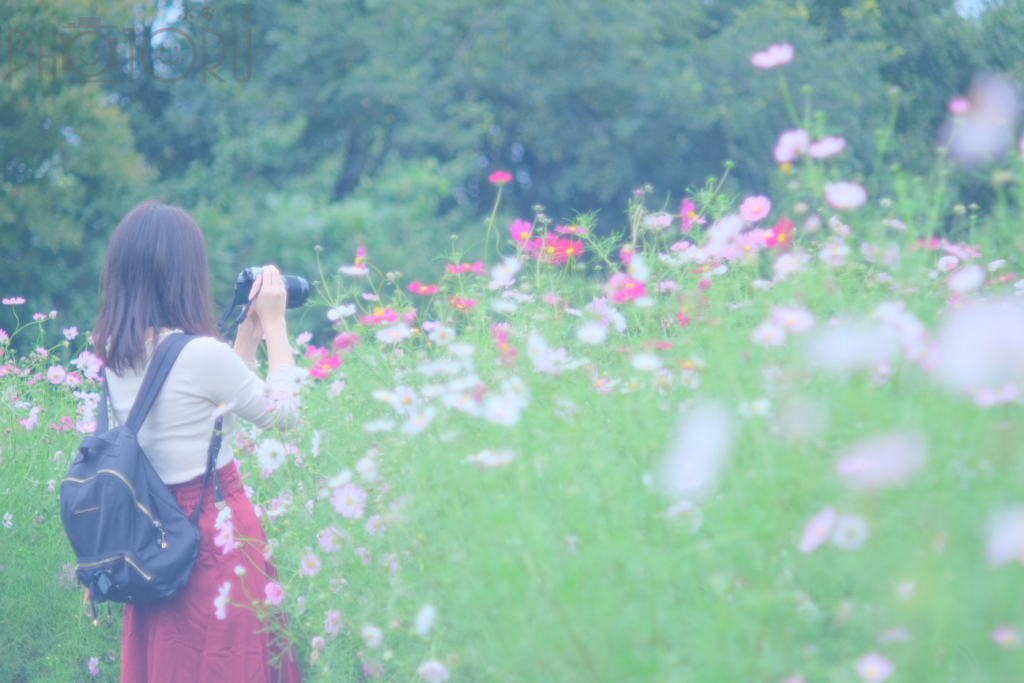 fuma8023のポートフォリオ8